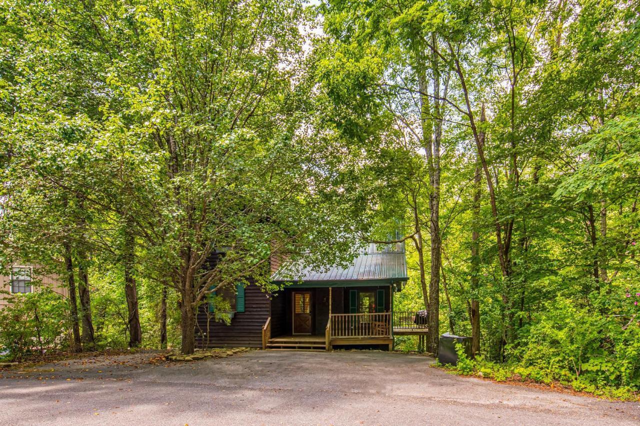 سيفيرفيل North Ridge Place Brand New Log Cabin With Hot Tub Great Location المظهر الخارجي الصورة